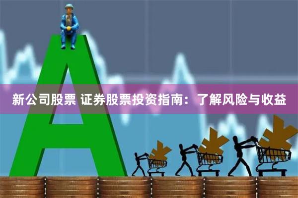 新公司股票 证券股票投资指南：了解风险与收益