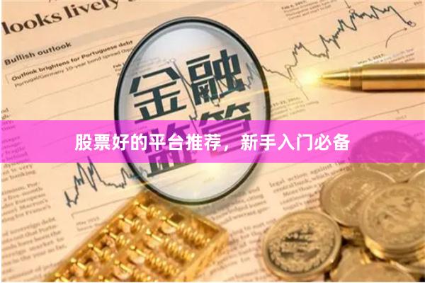 股票好的平台推荐，新手入门必备